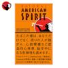 美国精神-AMERICAN SPIRIT 橙色 3m