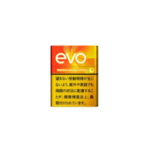 P18 05 EVO Ploom