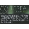 TEREA 黑色黄色薄荷 加热烟弹