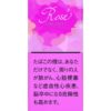 弗吉尼亚-Virginia-玫瑰薄荷